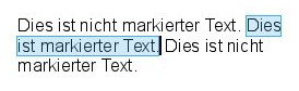 Beispiel eines in einem EDV-Programm markierten Textes